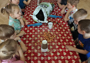 Dzieci siedzą przy stoliu i oczekują na zajęcia przyrodnicze.