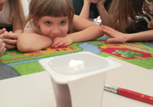 Zjawisko fizyczne: napięcie powierzchniowe wody.