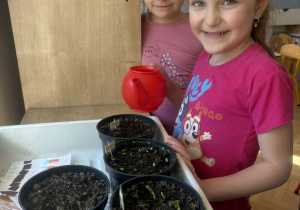 Dzieci przy wiosennych wysiewach