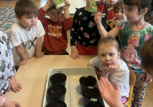 Dzieci przy wiosennych wysiewach