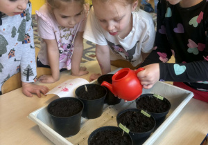 Dzieci przy wiosennych wysiewach