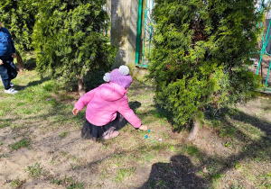 Dzieci szukją w przedszkolnym ogrodzie ukrytych przez zajączka czekoladowych jajaeczek.