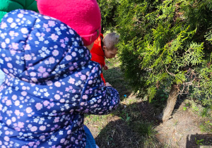 Dzieci szukją w przedszkolnym ogrodzie ukrytych przez zajączka czekoladowych jajaeczek.