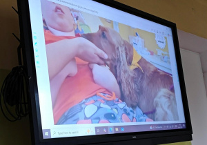 Na ekranie wyświetla sie nagranie filmu o pomaganiu chorym, a dokładnie dogoterapii.