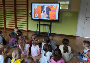 Dzieci oglądają nagranie "Jak pies pomaga?"