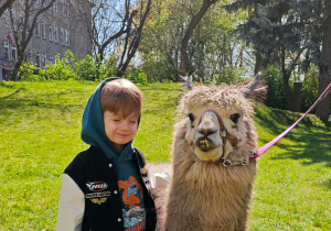 Dziecko pozuje z alpaką do zdjęcia.