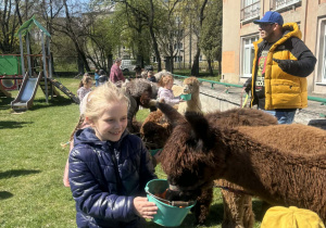 Dzieci podczas zajęć edukacyjnych z alpakami