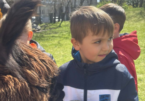 Dzieci podczas zajęć edukacyjnych z alpakami
