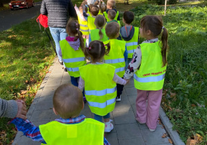Spacer po okolicy.