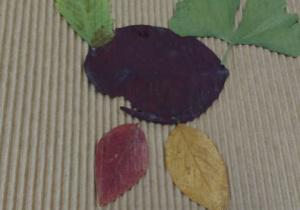 Obrazek wykonany z suszonych liści